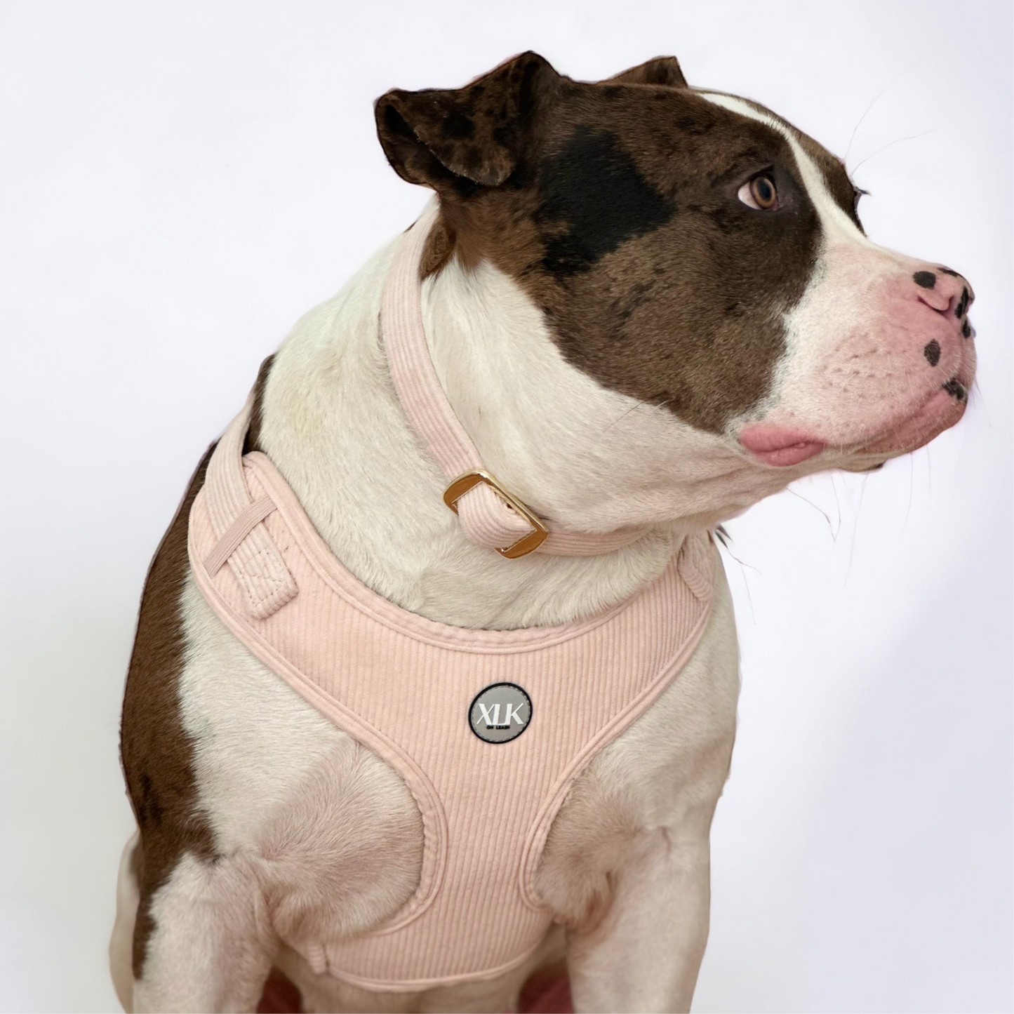 Corduroy Dog Harness